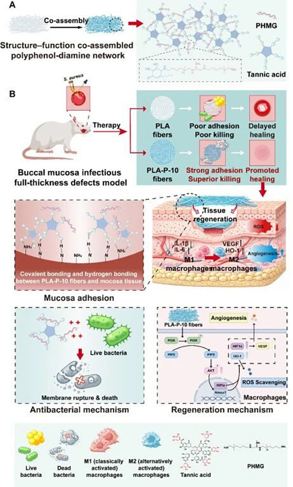 DM_20260224133203_002.jpg DM_20260224133203_002.jpg