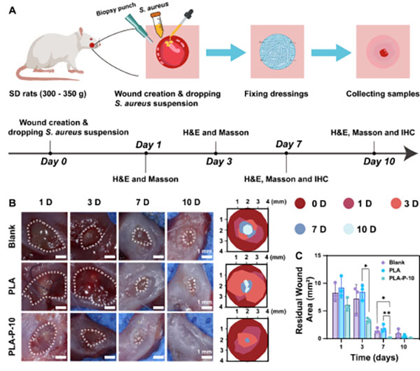 DM_20260224133203_003.jpg DM_20260224133203_003.jpg